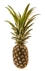 Pineapple isolate