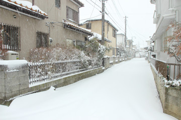 Fototapeta premium The heaviest snow in decades in Tokyo and other areas of Japan
