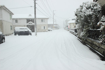 Fototapeta premium The heaviest snow in decades in Tokyo and other areas of Japan