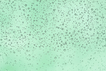 Bubbles on glass