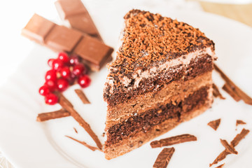 Chocolate cake on the white plate