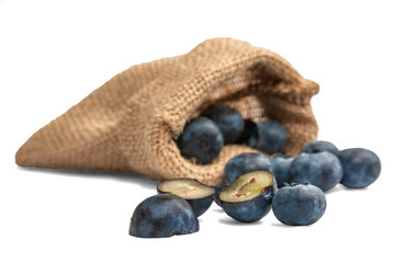 Blueberries in canvas bag