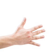 Isolated hand on a white background