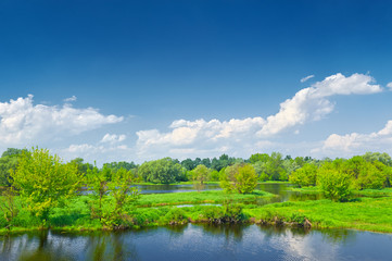 Fototapeta na wymiar Wiosna krajobraz przez Narew plecionki rzeki.