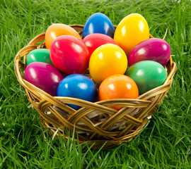 easter eggs in busket on green gras isolated concept holyday