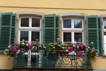 the window with shutters and flower pots