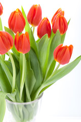 Schöne frische rote Tulpen als Blumenstrauß zu ostern und Vale