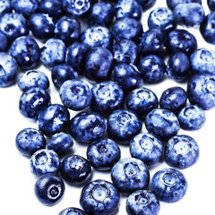 Blueberries isolated on white background close up. Group of fres