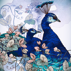 Obrazy  Floral Background with Peacock