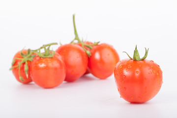 tomatoes on  white background