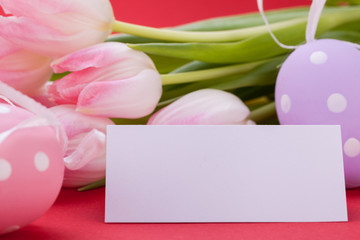rosane Tulpen mit ostereiern dekoriert als Nahaufnahme mit Textf