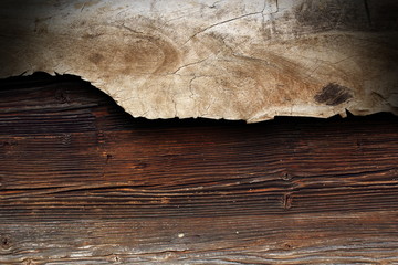 poplar piece of wood