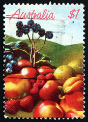 Postage stamp Australia 1987 Berries and Peaches, Fruit