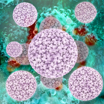 Papillomavirus - 3d Render