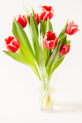 tulips bouquet in glass