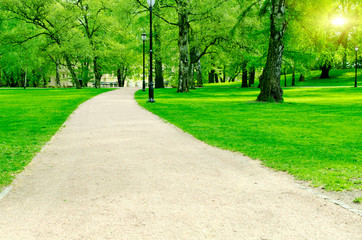 Pathway in city garden