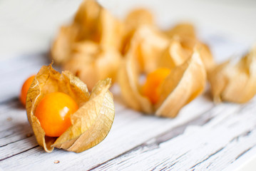 physalis