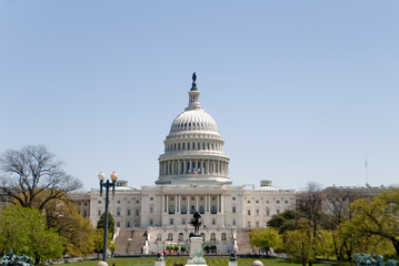 Fototapeta premium The Capitol Building