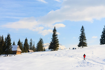 Winter view of frozen surface of High Tatra mountains