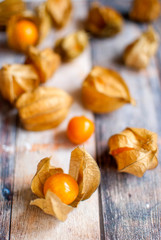 physalis