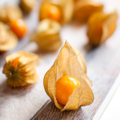 physalis