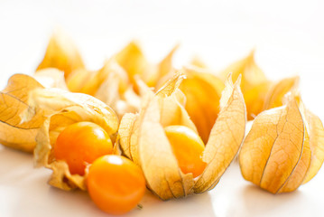 physalis