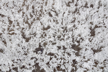 texture of the ice with snowflakes