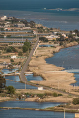 Fototapeta premium view of a paddy field in Delta de l'Ebre, Catalonia, Spain