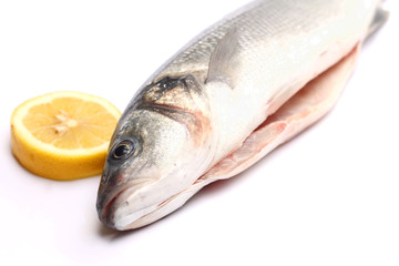 Sea bass isolated on white background with lemon