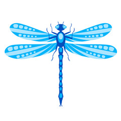 dragonfly isolated on white