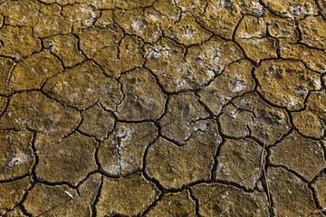 Dry arid soil with cracks