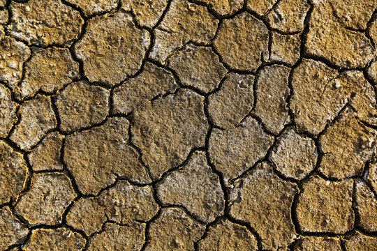 Dry arid soil with cracks