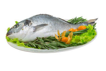 Raw dorada