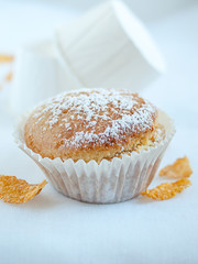 muffins