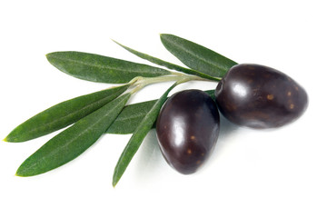 Olive mature e foglie d'ulivo