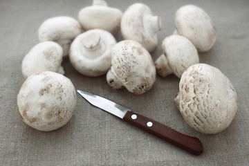 Champignon mushrooms and knife