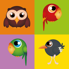 Fototapeta premium birds