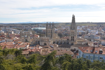 Fototapeta na wymiar Panoramica de la Ciudad de Burgos