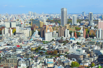 Fototapeta na wymiar Tokyo cityscape