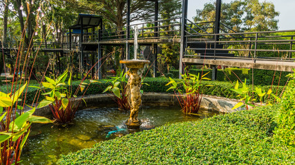 сад орхидей в парке Нонг Нуч в Тайланде © 7ynp100