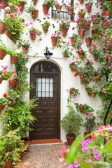 Fototapeta na wymiar Wiosna i Wielkanoc Kwiaty Ozdoba Old House, Hiszpania, Europa