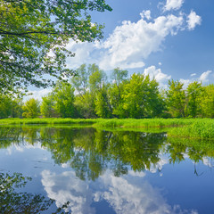 Sunny spring landscape by The Narew River.