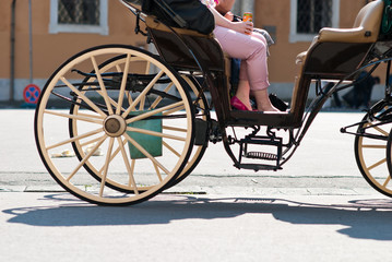 Obraz premium Carrozza tirata da cavallo, Pisa