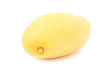 Yellow mango isolated on a white background