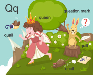 Obraz na płótnie Canvas Alphabet.Q letter.quail,queen, quill,quoll,question mark.