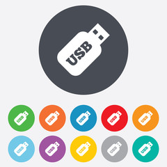 Usb Stick sign icon. Usb flash drive button.