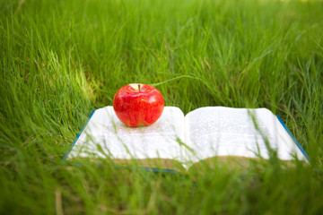 apple on the book