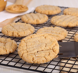 Peanut Butter Cookies