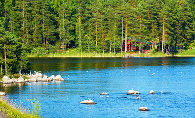 Lake summer view (Finland).