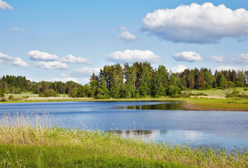 Summer landscape